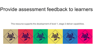 Provide assessment feedback to learners